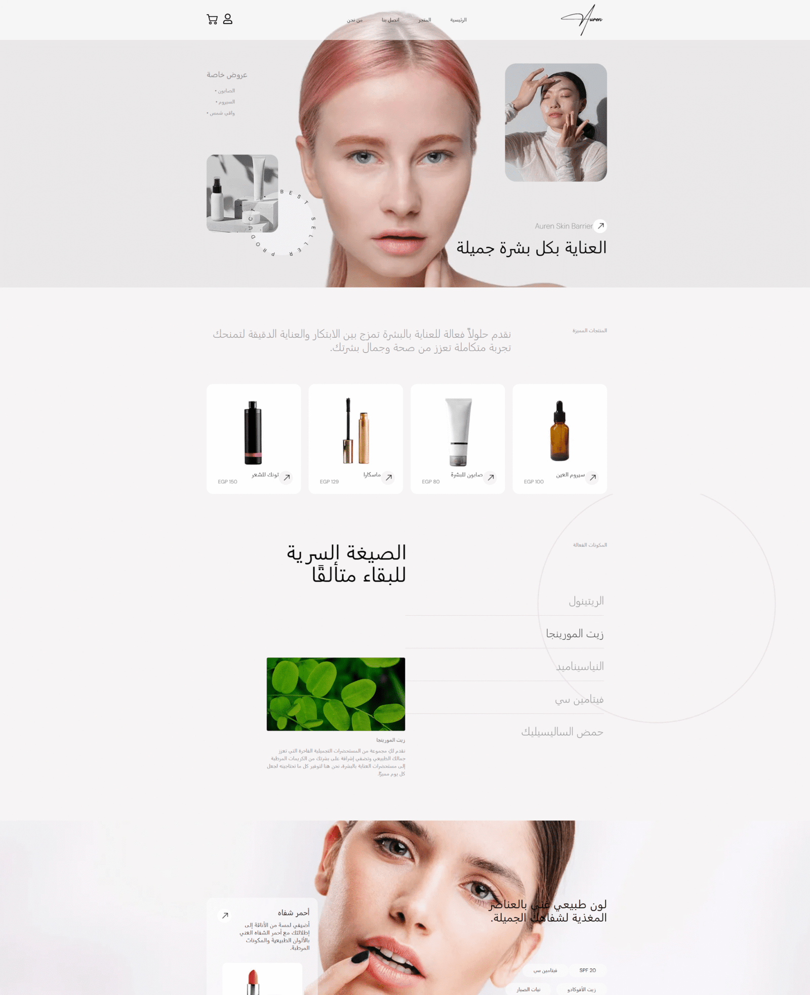 قوالب الويب