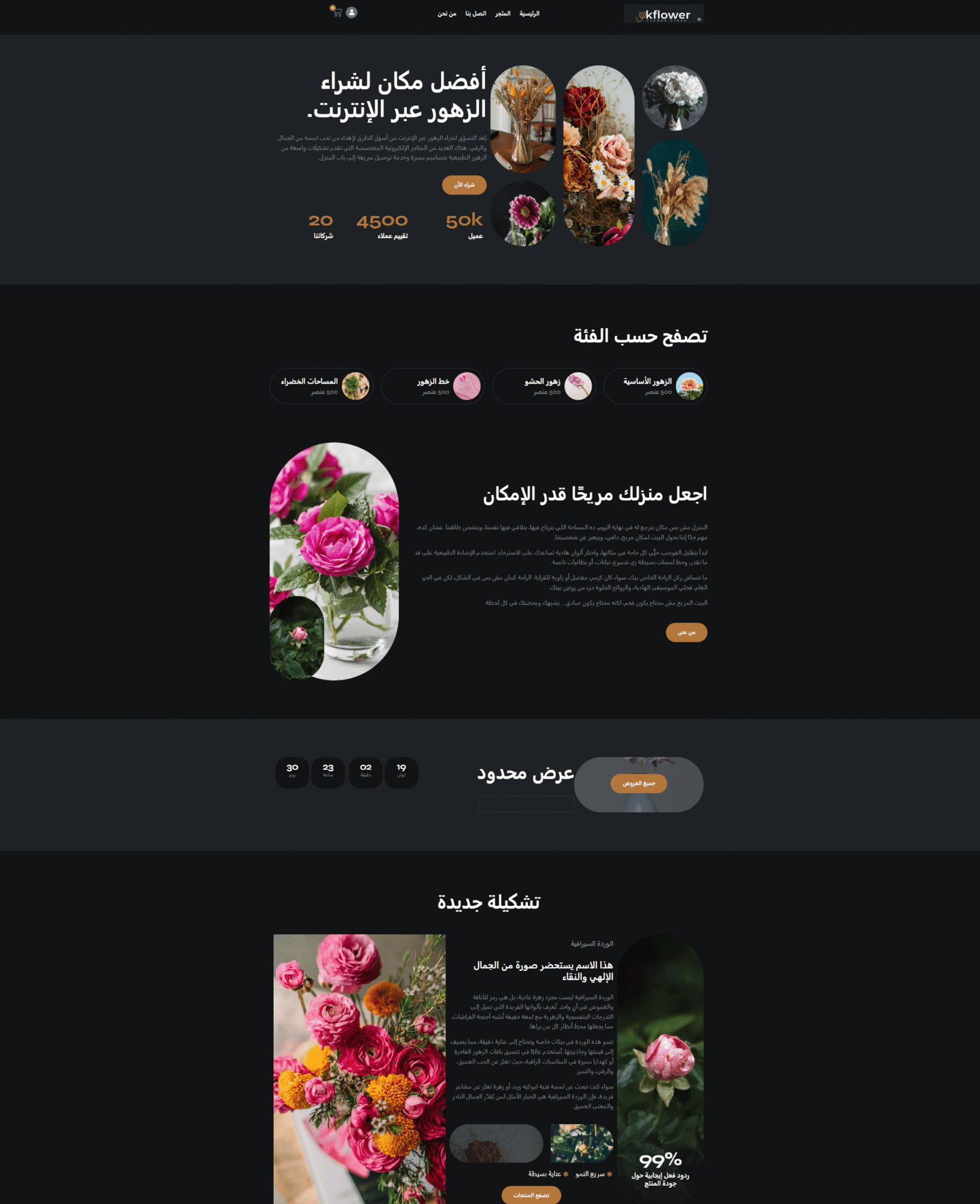 قوالب الويب